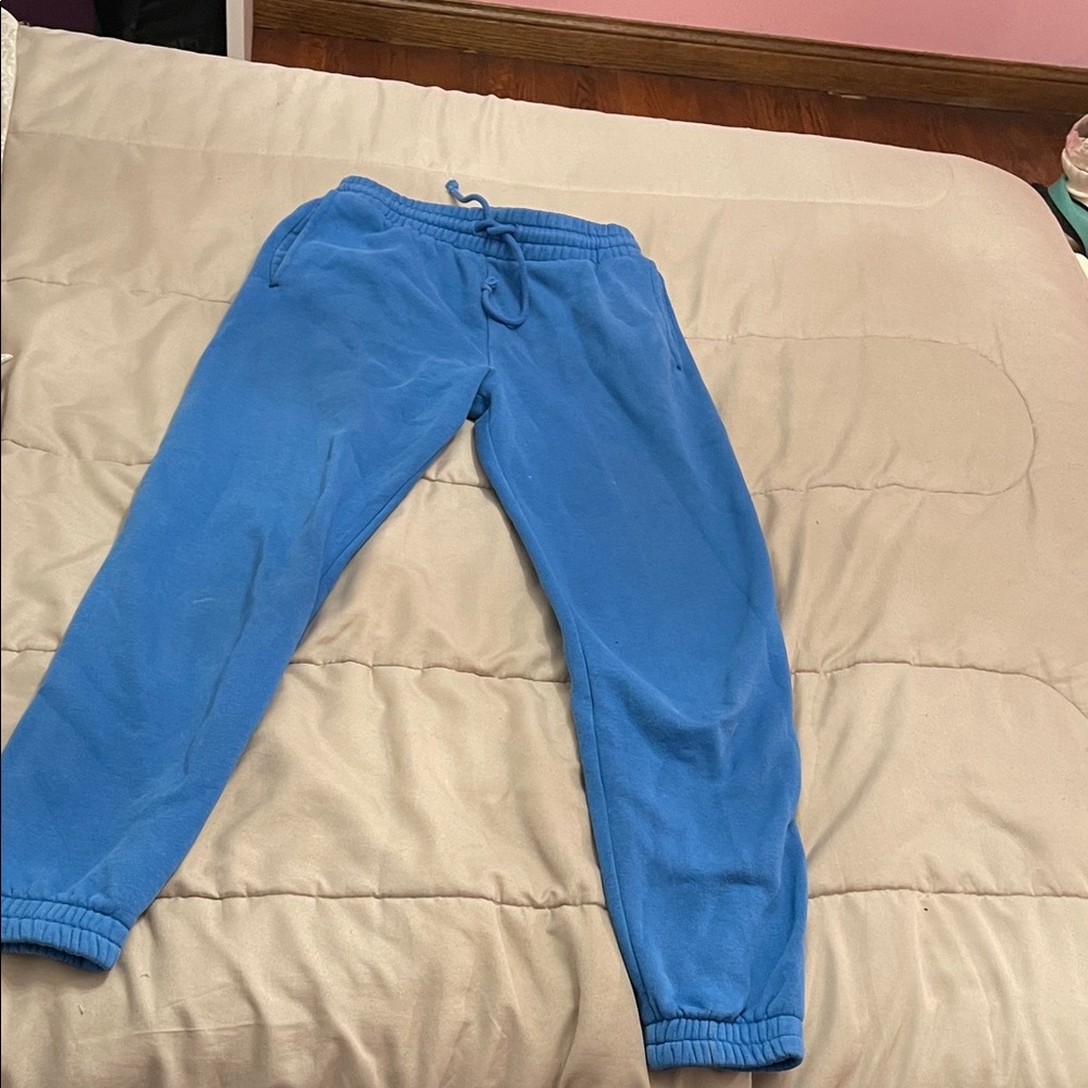 Aritzia Blue Ankle Pants
